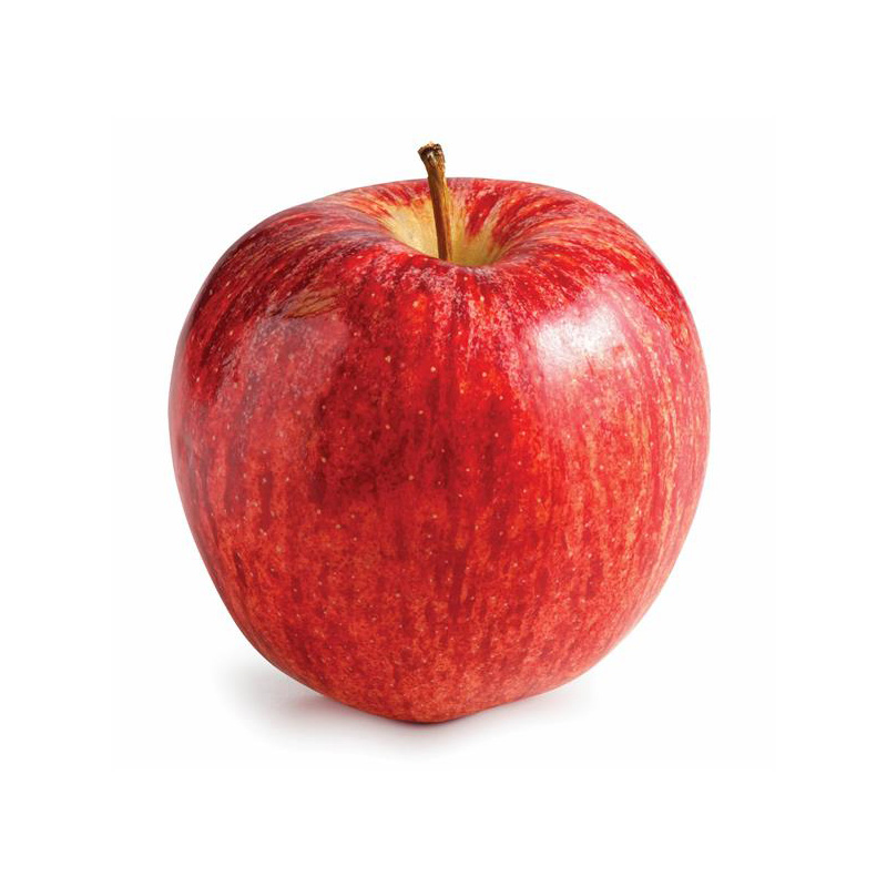 แอปเปิ้ล ซันฟูจิ ไซด์ 32 | Food Gallery