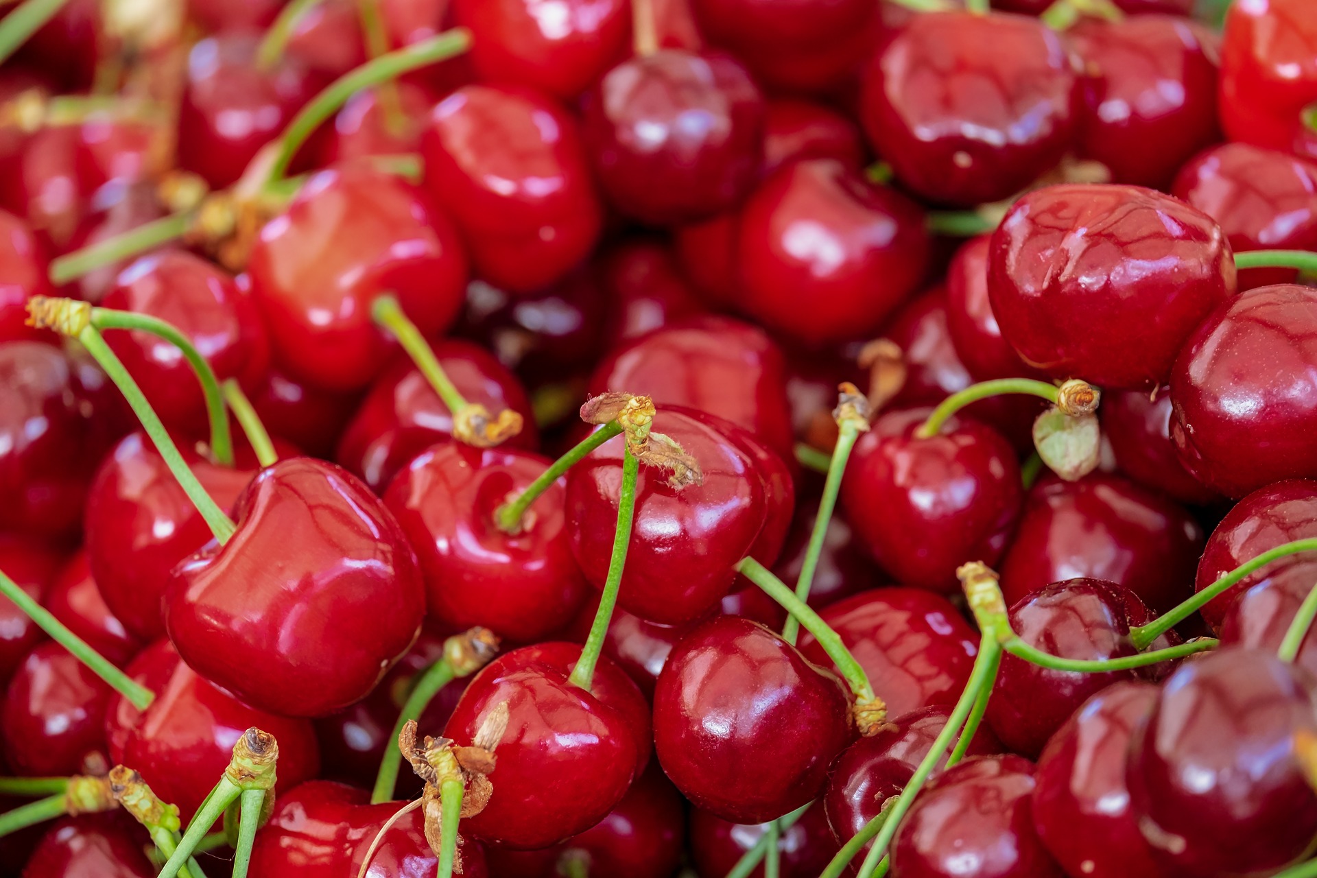 Cherry Red  Food Gallery