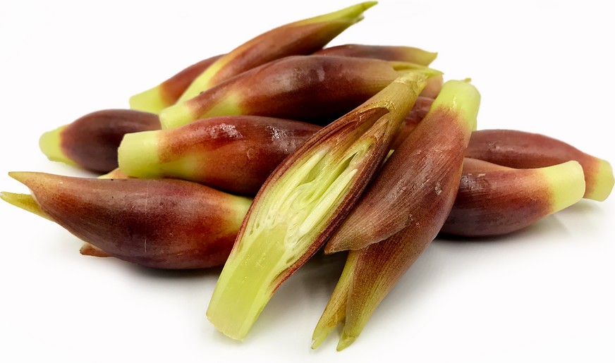 Japanese Ginger | Food Gallery